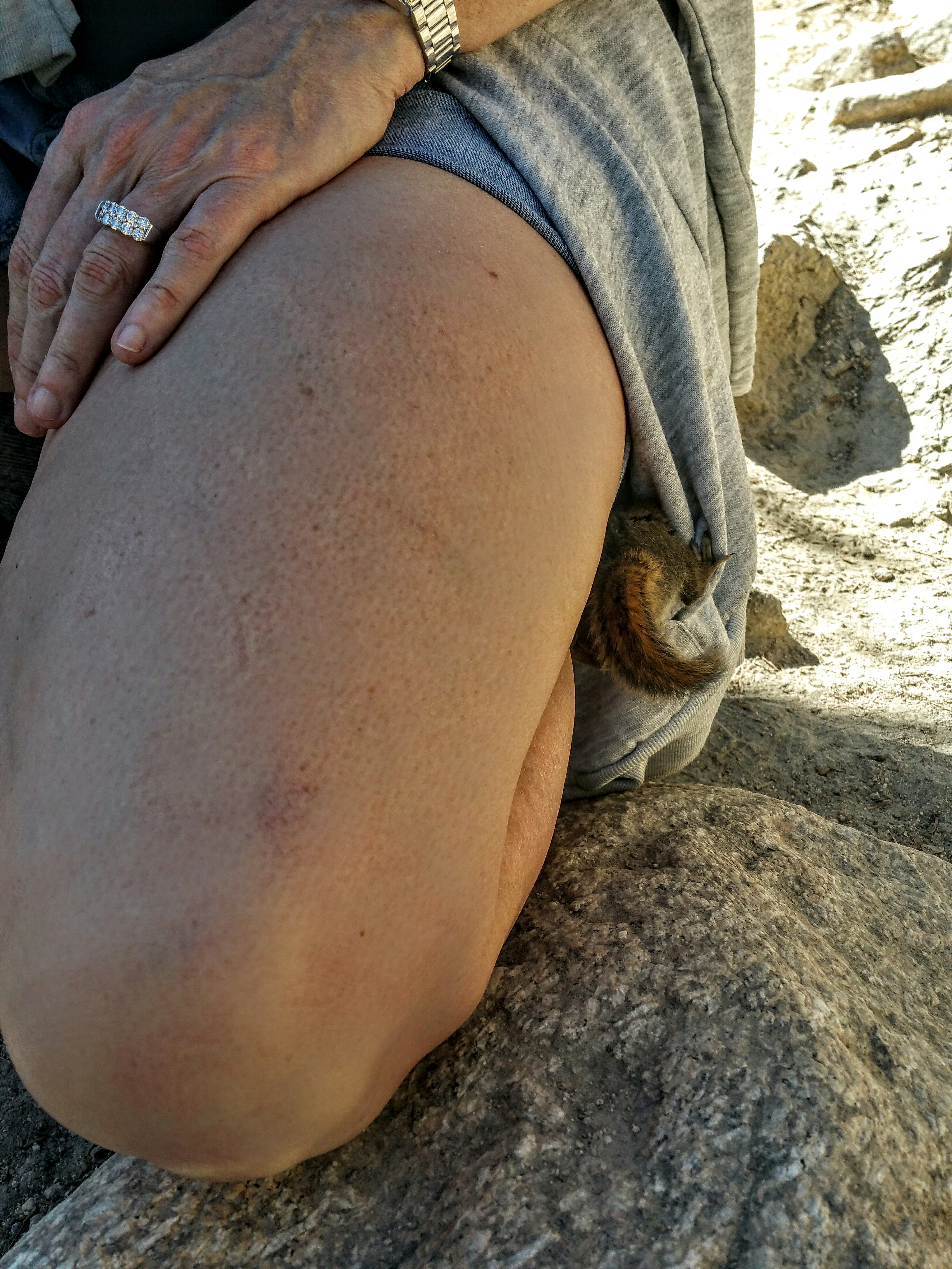 wpid-20150924_1105032.jpg.jpeg