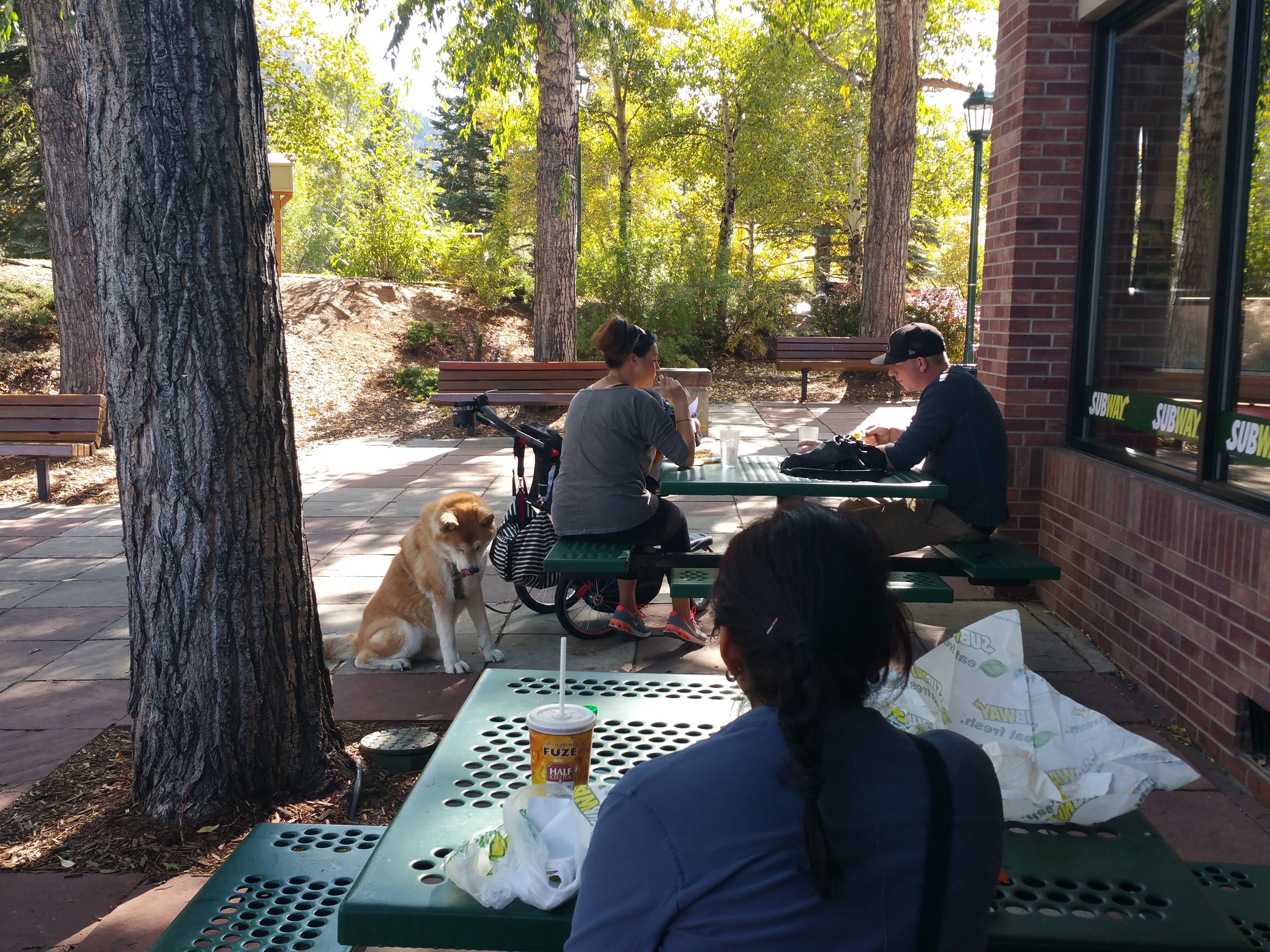 wpid-20150924_150049.jpg