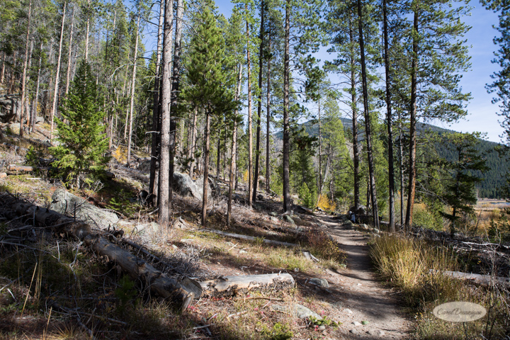 colorado, hiking, trails, carol dunnigan photography, mountains, landscapes, landscape, rocky mountain national park, mills lake, glacier gorge trailhead-10
