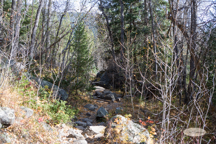 colorado, hiking, trails, carol dunnigan photography, mountains, landscapes, landscape, rocky mountain national park, mills lake, glacier gorge trailhead-12