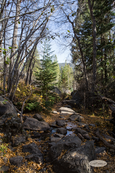 colorado, hiking, trails, carol dunnigan photography, mountains, landscapes, landscape, rocky mountain national park, mills lake, glacier gorge trailhead-13