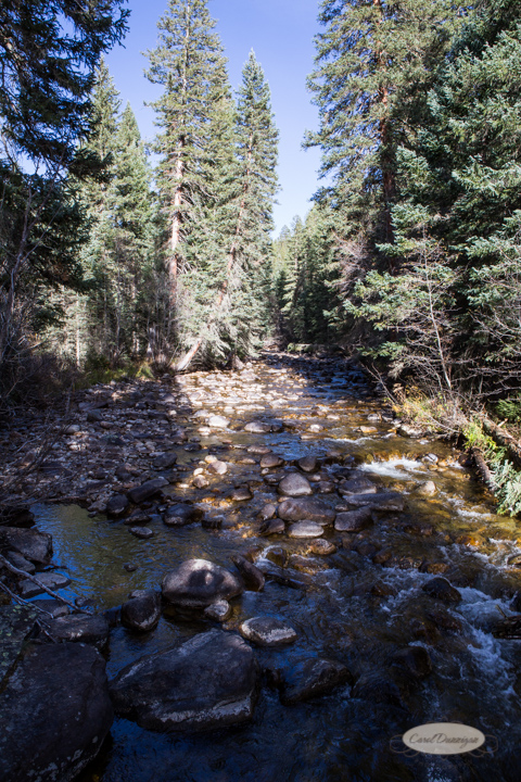 colorado, hiking, trails, carol dunnigan photography, mountains, landscapes, landscape, rocky mountain national park, mills lake, glacier gorge trailhead-27