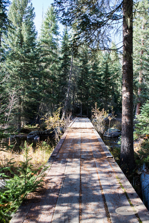 colorado, hiking, trails, carol dunnigan photography, mountains, landscapes, landscape, rocky mountain national park, mills lake, glacier gorge trailhead-28