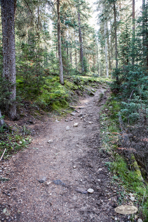 colorado, hiking, trails, carol dunnigan photography, mountains, landscapes, landscape, rocky mountain national park, mills lake, glacier gorge trailhead-29