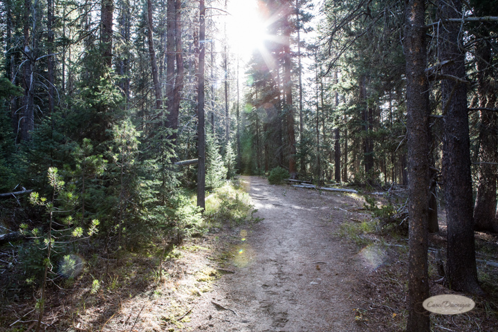 colorado, hiking, trails, carol dunnigan photography, mountains, landscapes, landscape, rocky mountain national park, mills lake, glacier gorge trailhead-31