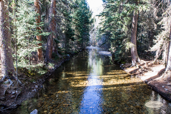 colorado, hiking, trails, carol dunnigan photography, mountains, landscapes, landscape, rocky mountain national park, mills lake, glacier gorge trailhead-33