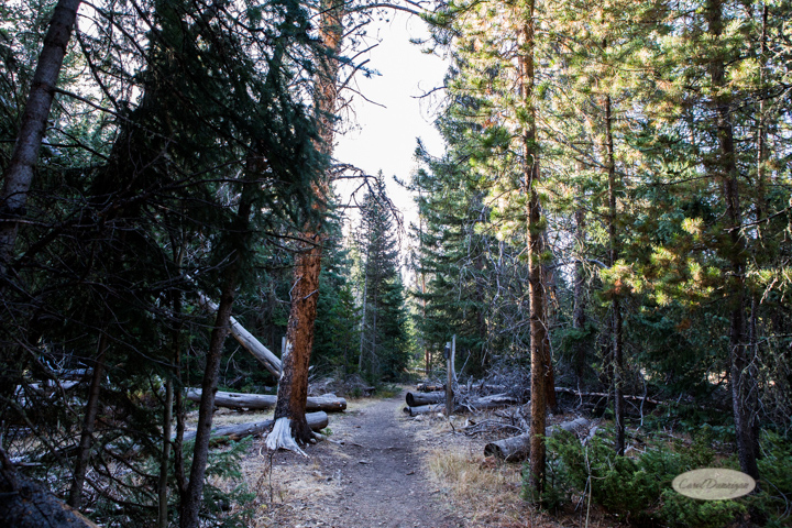colorado, hiking, trails, carol dunnigan photography, mountains, landscapes, landscape, rocky mountain national park, mills lake, glacier gorge trailhead-34