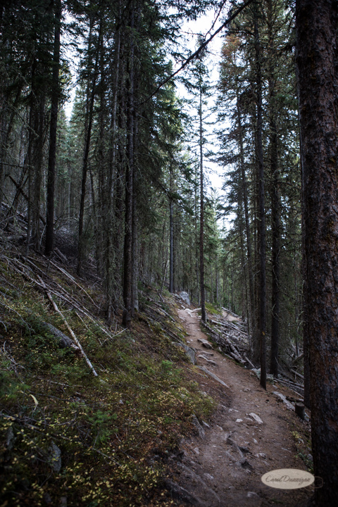 colorado, hiking, trails, carol dunnigan photography, mountains, landscapes, landscape, rocky mountain national park, mills lake, glacier gorge trailhead-36