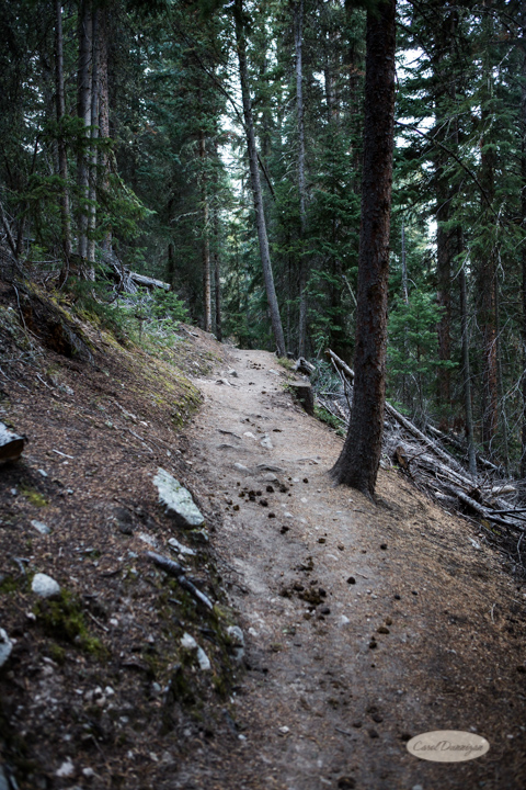 There are several uphill sections to this trail.
