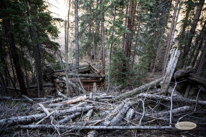 Cabin ruins.