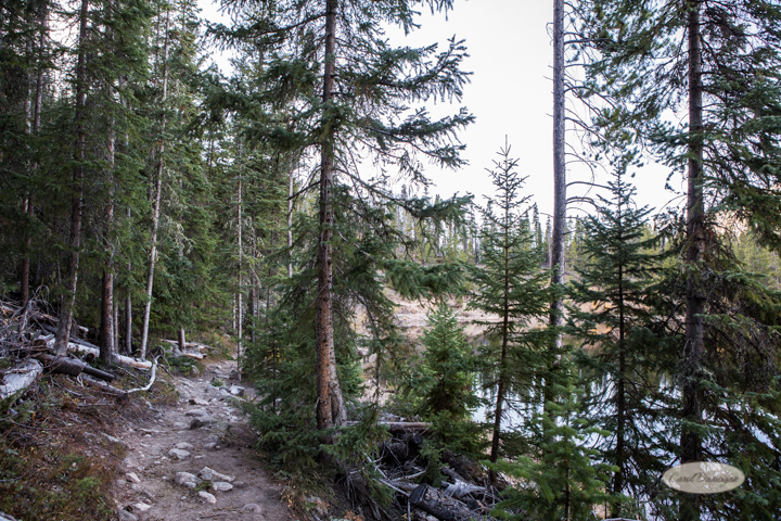 colorado, hiking, trails, carol dunnigan photography, mountains, landscapes, landscape, rocky mountain national park, mills lake, glacier gorge trailhead-47