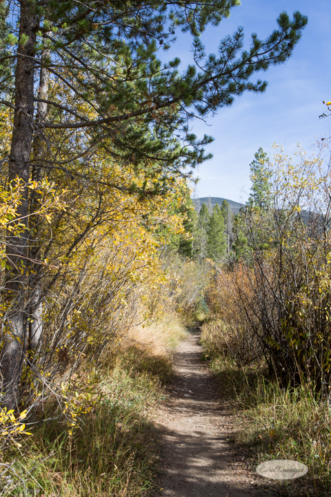 colorado, hiking, trails, carol dunnigan photography, mountains, landscapes, landscape, rocky mountain national park, mills lake, glacier gorge trailhead-8
