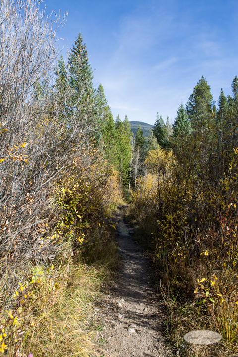 colorado, hiking, trails, carol dunnigan photography, mountains, landscapes, landscape, rocky mountain national park, mills lake, glacier gorge trailhead-9
