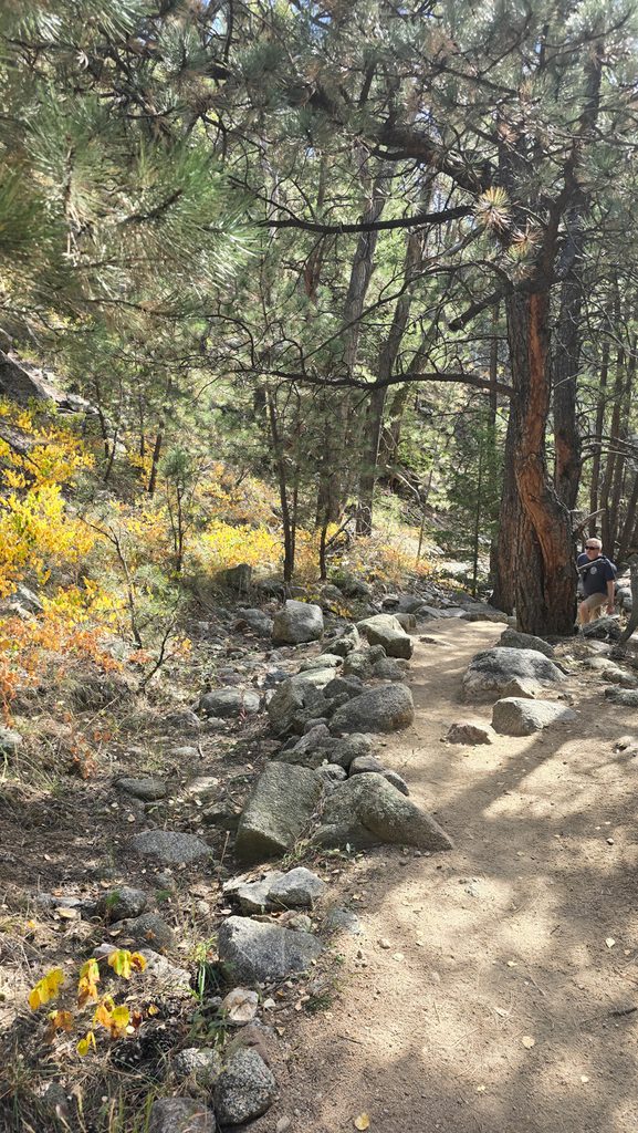 Rocky trail winding through pine trees and fall foliage in Boulder, Colorado