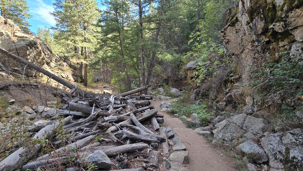Rocky hiking trail beside a pile of fallen branches and trees