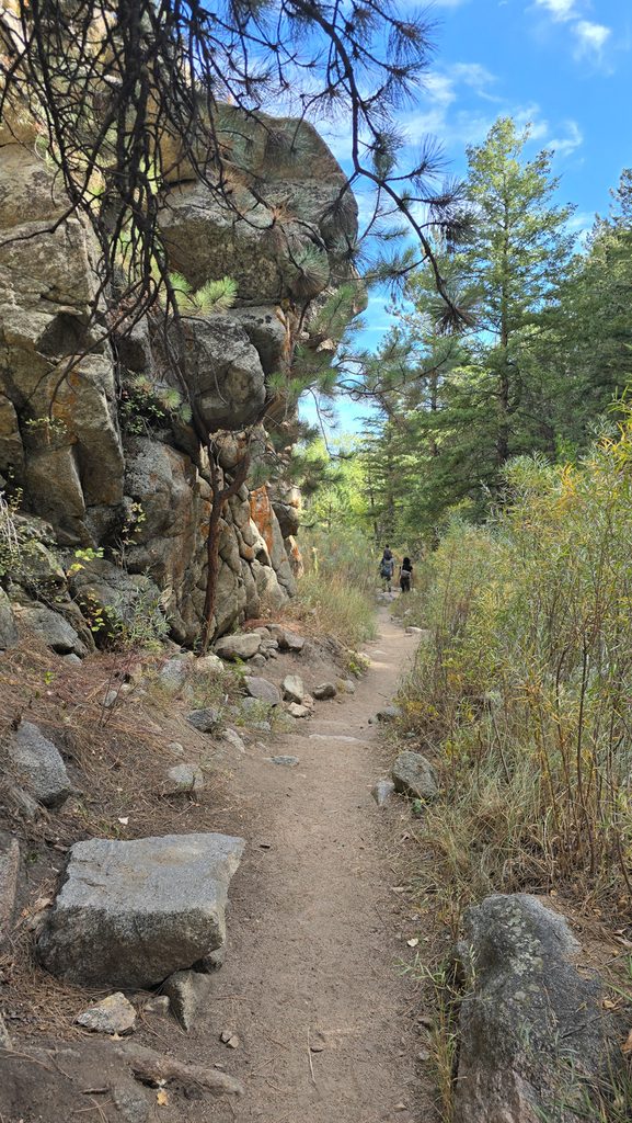 Hiking trail passing between large rock formations and pine trees